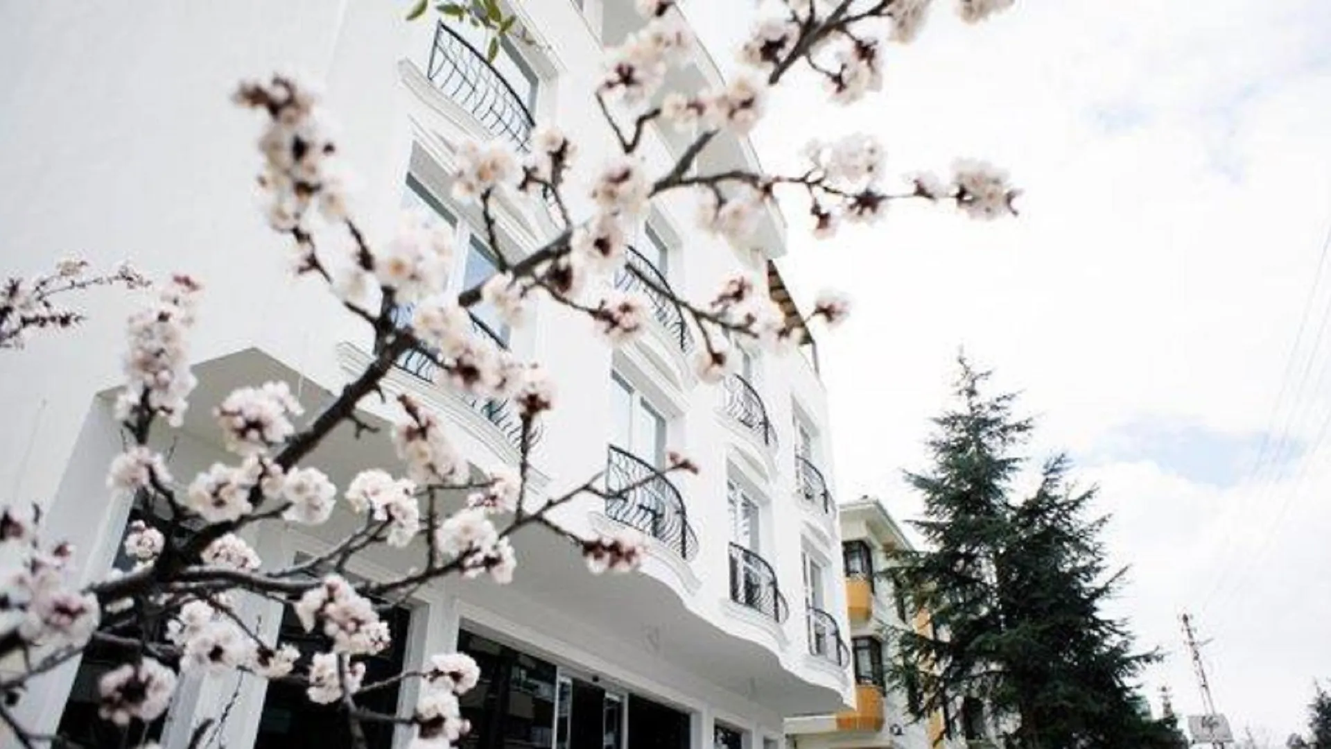 Koza Suite Hotel Ankara Turquie